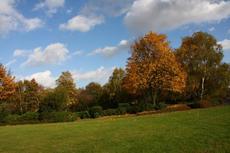 Herbststimmung-25-10-09 006.jpg